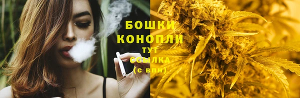 соль ск Мегион