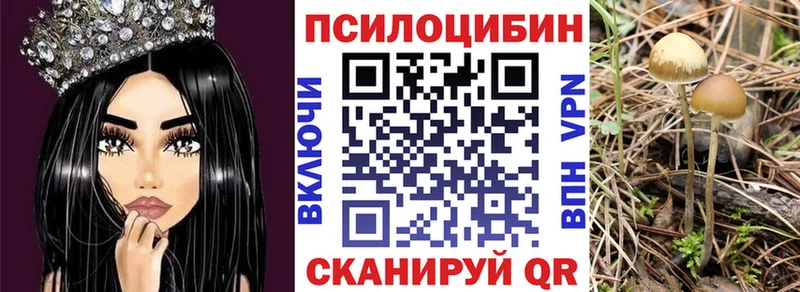 Псилоцибиновые грибы MAGIC MUSHROOMS  закладки  hydra как войти  Шиханы 